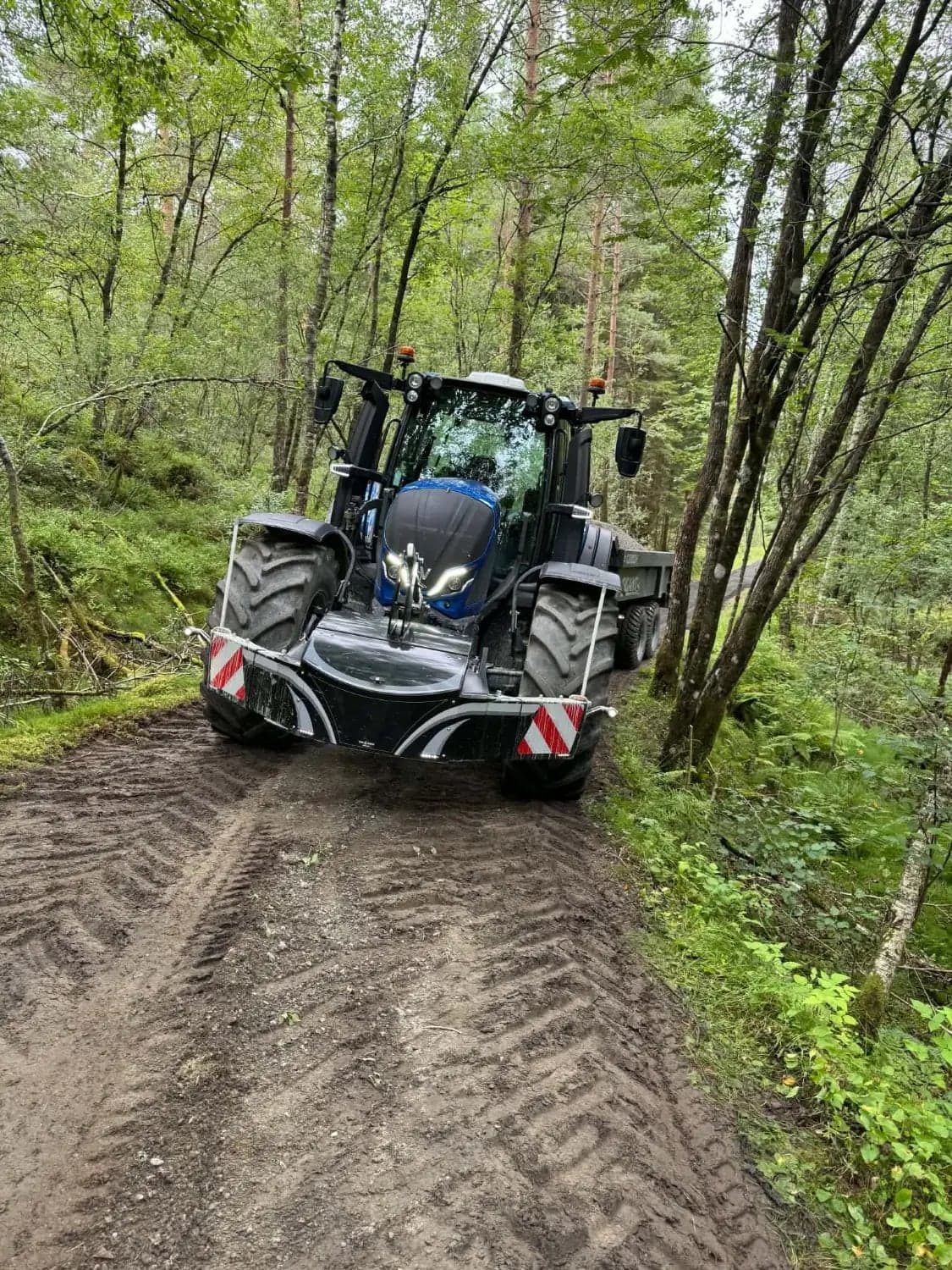 Blå Valtra-traktor med dumperhenger kjører på en smal grusvei gjennom skog